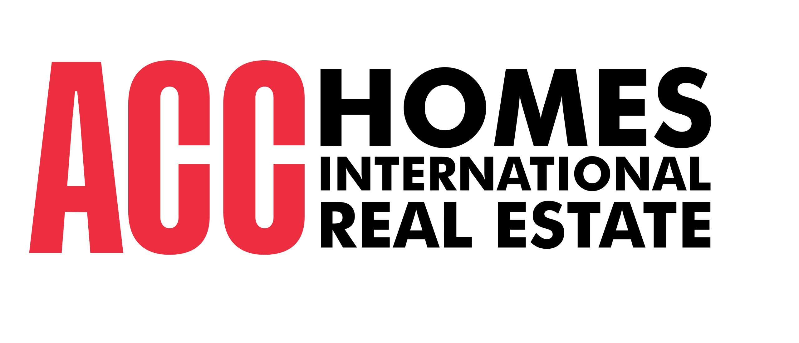 ACC HOMES ANTALYA INTERNATIONAL REAL ESTATE - siyah png logo